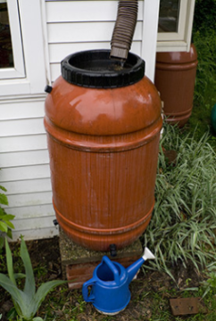 Rain_Barrel_01