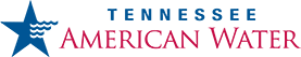 Logo AmericanWater